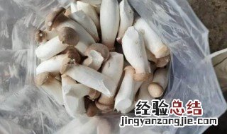 杏鲍菇能放保鲜吗 鲜杏鲍菇怎么保鲜存放