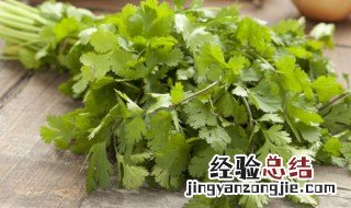 香菜保存怎样长期保存 香菜如何长期保鲜存放