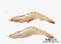 南美白对虾育苗技术 南美白对虾育苗技术视频