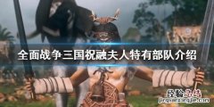全面三国孟获和祝融夫人 全面战争三国祝融夫人怎么样