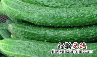 黄瓜怎么样保存 黄瓜怎么保鲜存放