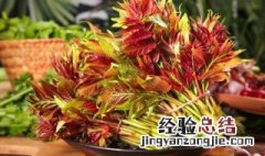 腌制香椿芽如何长期保鲜存放 香椿怎样腌制长期保存