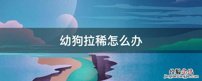 三个月大的狗狗拉稀怎么办 幼狗拉稀怎么办