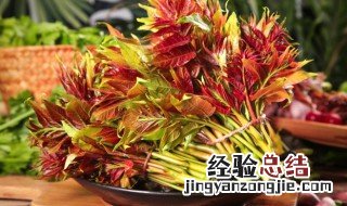 香椿怎样长期保鲜 香椿如何长期保鲜存放