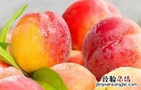 如何提高水蜜桃的产量呢 如何提高水蜜桃的产量