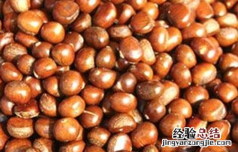 板栗树该怎么种植才好呢 板栗树该怎么种植才好