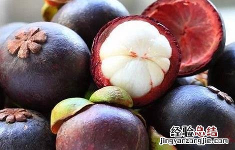 山竹最新高产种植技术 山竹最新高产种植技术图片