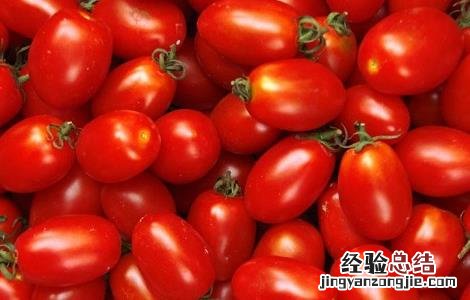 圣女果的栽培技术 圣女果高产的种植方法
