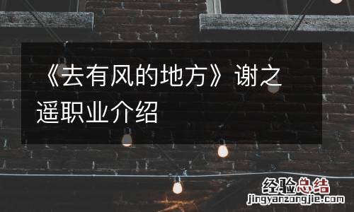 《去有风的地方》谢之遥职业介绍