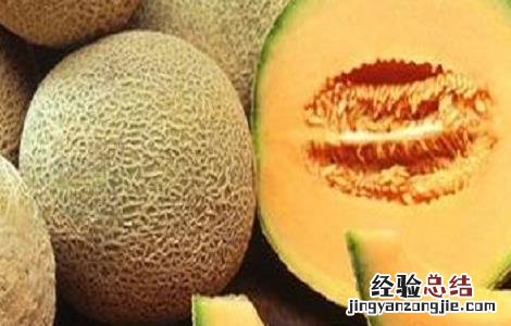 哈密瓜裂瓜的原因与防治方法 哈密瓜裂果的原因及防治