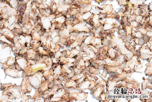白及 白及白芨图片