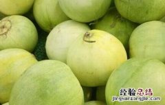 香瓜怎么种植 香瓜怎么种植结的瓜才多
