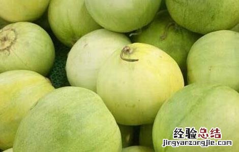 香瓜怎么种植 香瓜怎么种植结的瓜才多