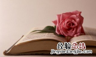 杜甫著名的诗 杜甫著名的诗句