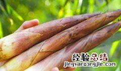 春笋怎么保存时间最长 春笋怎样保存时间长