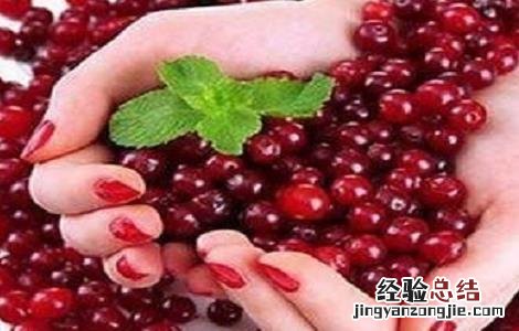 蔓越莓的种植技术与条件是什么 蔓越莓的种植技术与条件