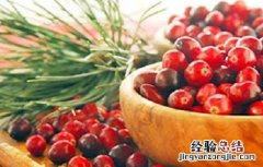 蔓越莓的种植技术与条件是什么 蔓越莓的种植技术与条件