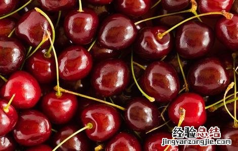 车厘子的栽培技术与管理 车厘子的栽培技术