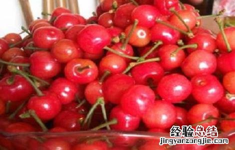樱桃里有虫子怎么回事 樱桃里面有虫子怎么办