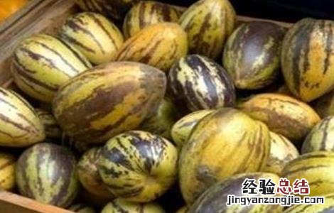 人参果常见病害及防治方法有哪些 人参果常见病害及防治方法