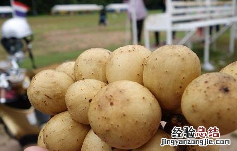 龙宫果的药用价值与功效作用 龙宫果的药用价值与功效作用及禁忌