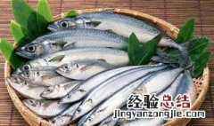 清烤鲅鱼做法步骤 烤鲅鱼窍门