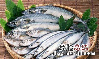 清烤鲅鱼做法步骤 烤鲅鱼窍门