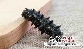 清汤海参怎么做 清汤海参怎么做最好吃
