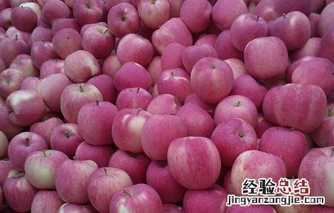 苹果树老掉苹果的原因是什么 苹果树老掉苹果的原因