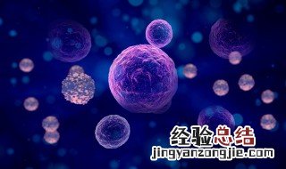 干细胞是由什么组成的 干细胞是具有什么的细胞
