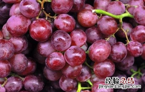 葡萄烂果的病因及防治措施视频 葡萄烂果的病因及防治措施