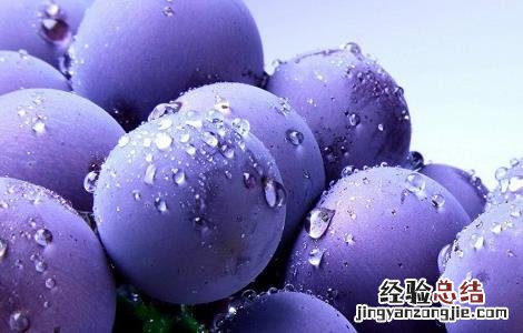 葡萄烂果的病因及防治措施视频 葡萄烂果的病因及防治措施
