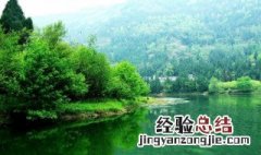 湿地适合种养什么 湿地适合种植什么