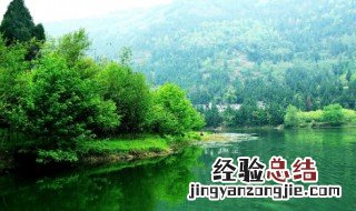 湿地适合种养什么 湿地适合种植什么