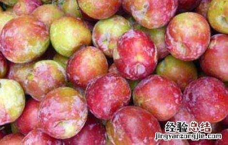 李子是酸性还是碱性食物 李子是酸性还是碱性