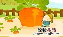 拔萝卜游戏玩法 拔萝卜游戏玩法过程