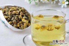 喝菊花水有什么好处 喝菊花水有什么好处吗
