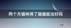 2个月的小猫猫瘟能治愈么 两个月猫咪得了猫瘟能治好吗