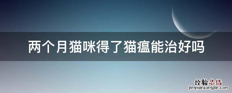 2个月的小猫猫瘟能治愈么 两个月猫咪得了猫瘟能治好吗