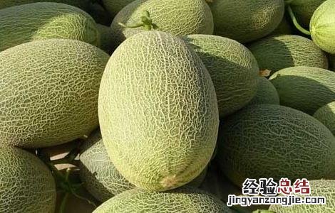 哈密瓜苦是怎么回事? 哈密瓜苦是怎么回事