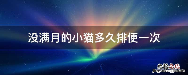 没满月的小猫多久排便一次 不足月小猫多久拉一次屎