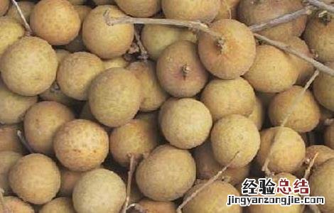 龙眼是热性还是凉性水果 龙眼是热性还是凉性