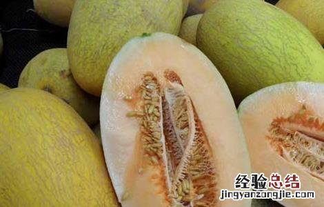 哈密瓜怎么挑选好吃 哈密瓜怎么挑选才好