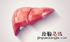 肝脏在人体的左边还是右边 肝在身体哪个位置左边还是右边
