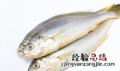凉拌鲫鱼的最正宗做法 凉拌鲫鱼怎么做好吃又简单