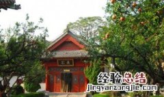 住宅西边种什么树最好 房屋西边种什么树最旺