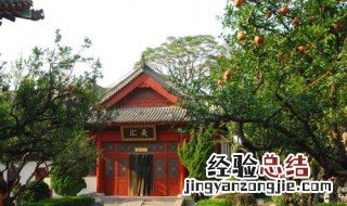 住宅西边种什么树最好 房屋西边种什么树最旺