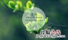 形容一个人有气质的句子 有气质的句子