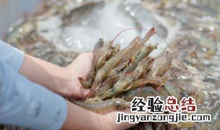 怎么做冷冻虾好吃教程 怎么做冷冻虾好吃教程图片