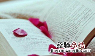 壶怎么读什么意思 壶怎么读